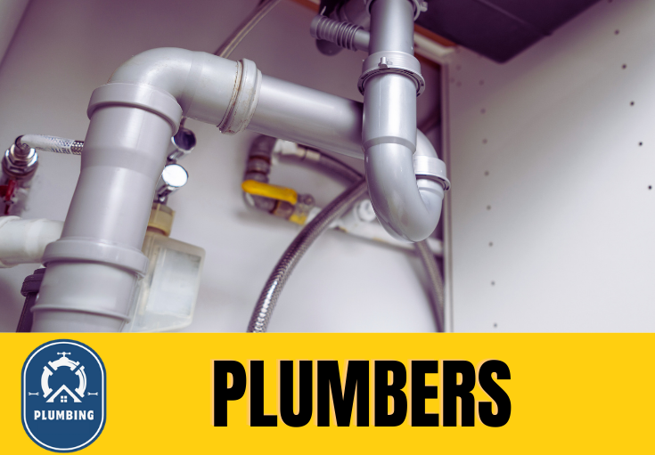  plumber Ingress Park